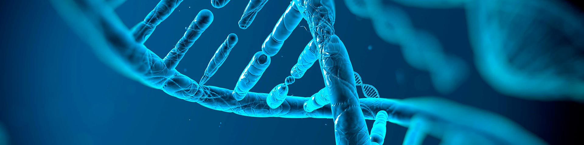 Traumatología y Dolor