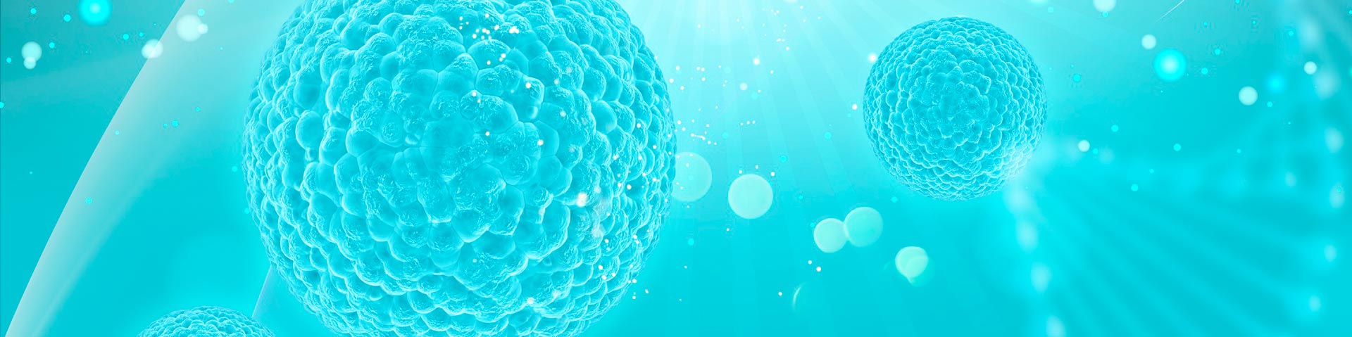 Webinar Oncología